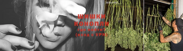 Альфа ПВП Осинники